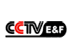 Canal 502